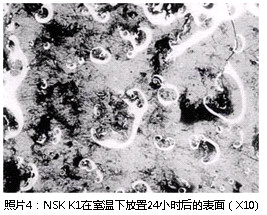 照片4:NSK K1在室溫下放置24小時(shí)后的表面(X10)